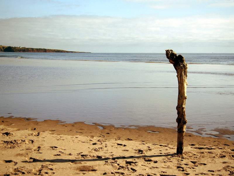 beach