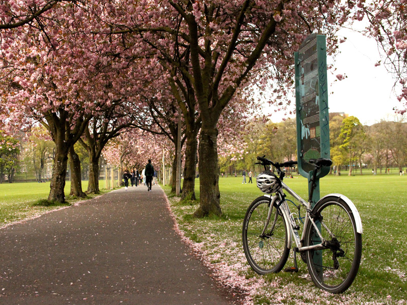 EDINBURGH MEADOWS