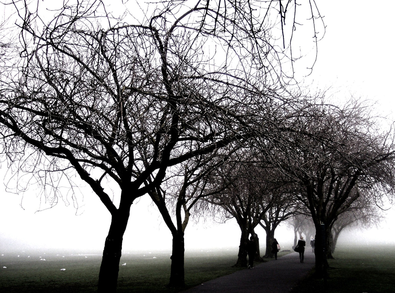 Edinburgh Meadows